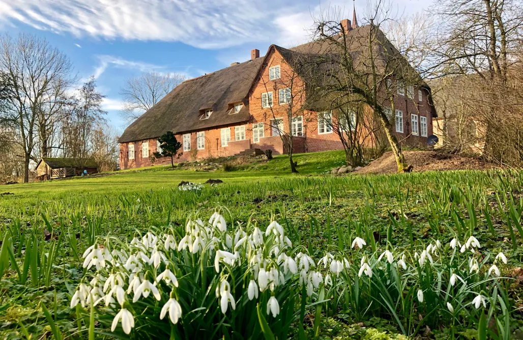 Nordsee Loft unter Reet in Tetenbüll AlohaCamp
