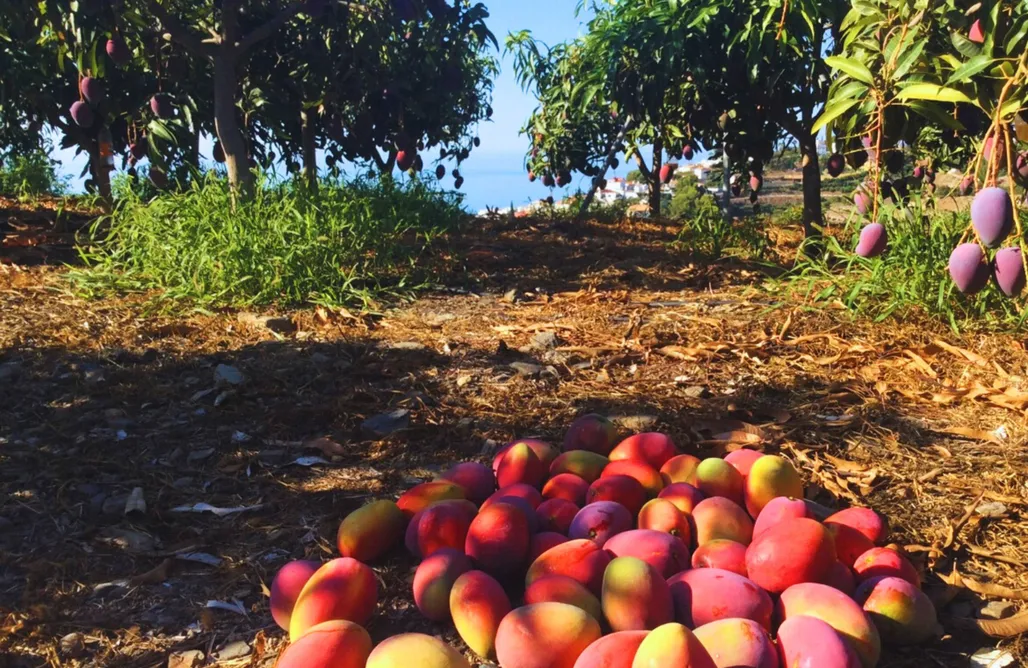 Alojamiento Pampaneira Casa Oculta de la Luna 1