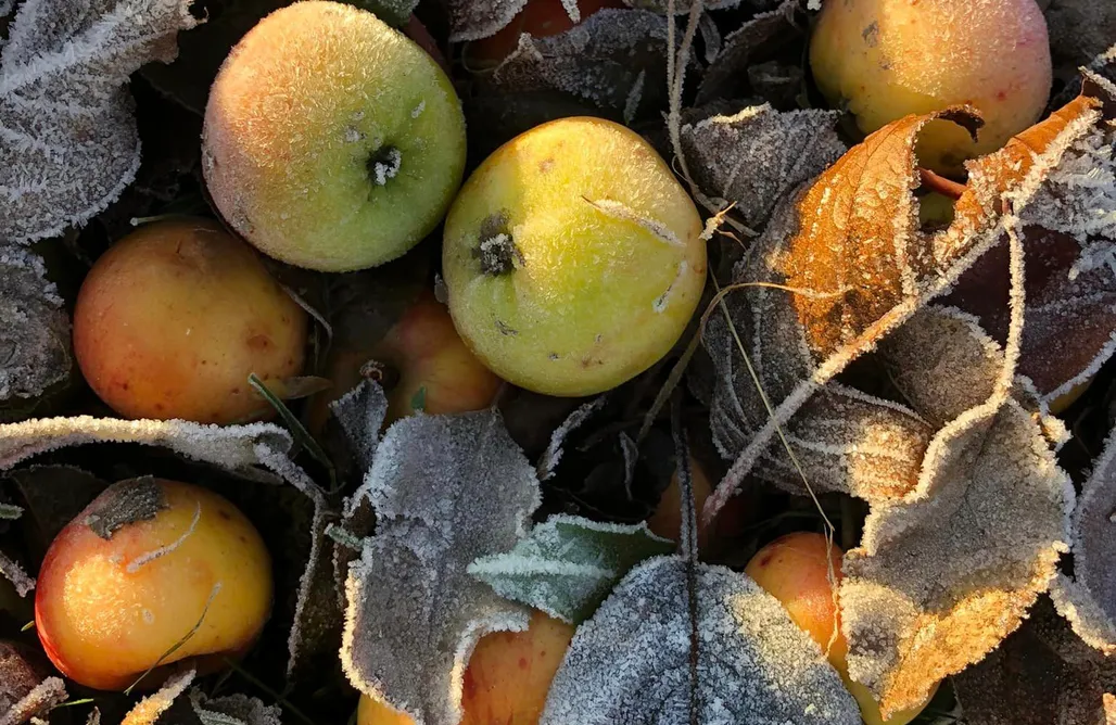 noclegi AlohaCamp Nasza Polana 1