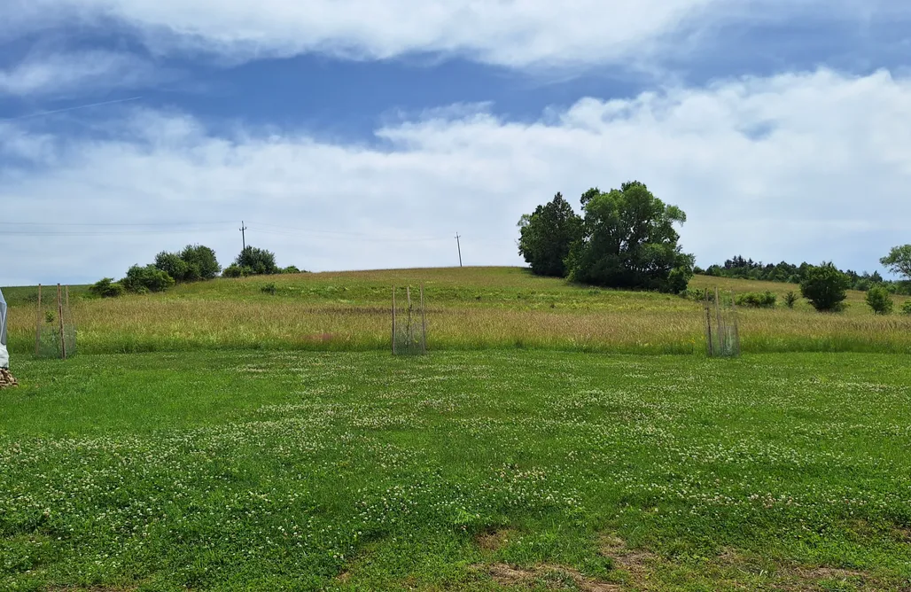 Alloggi AlohaCamp Jurta Na polanie smaczne spanie 1