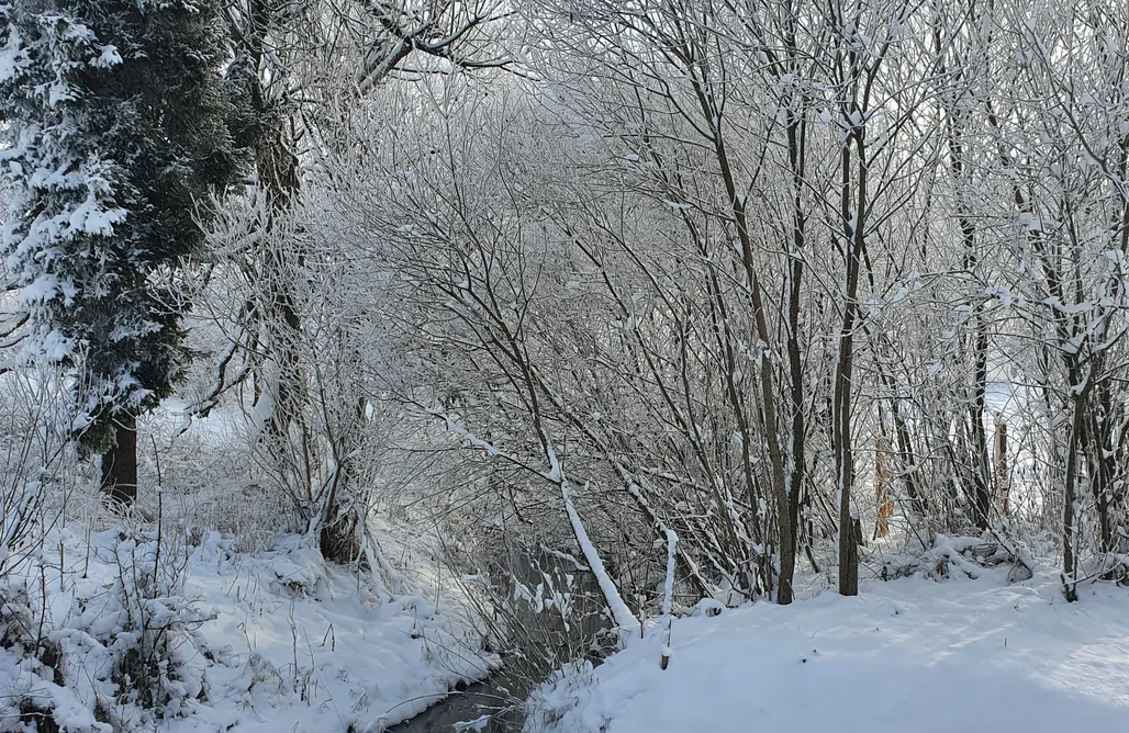 noclegi AlohaCamp Wilcza Dolina  1