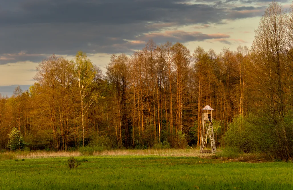 Pole namiotowe lubelskie Miejsce kamperowe i namiotowe - Gospodarstwo Przy Piecu 3