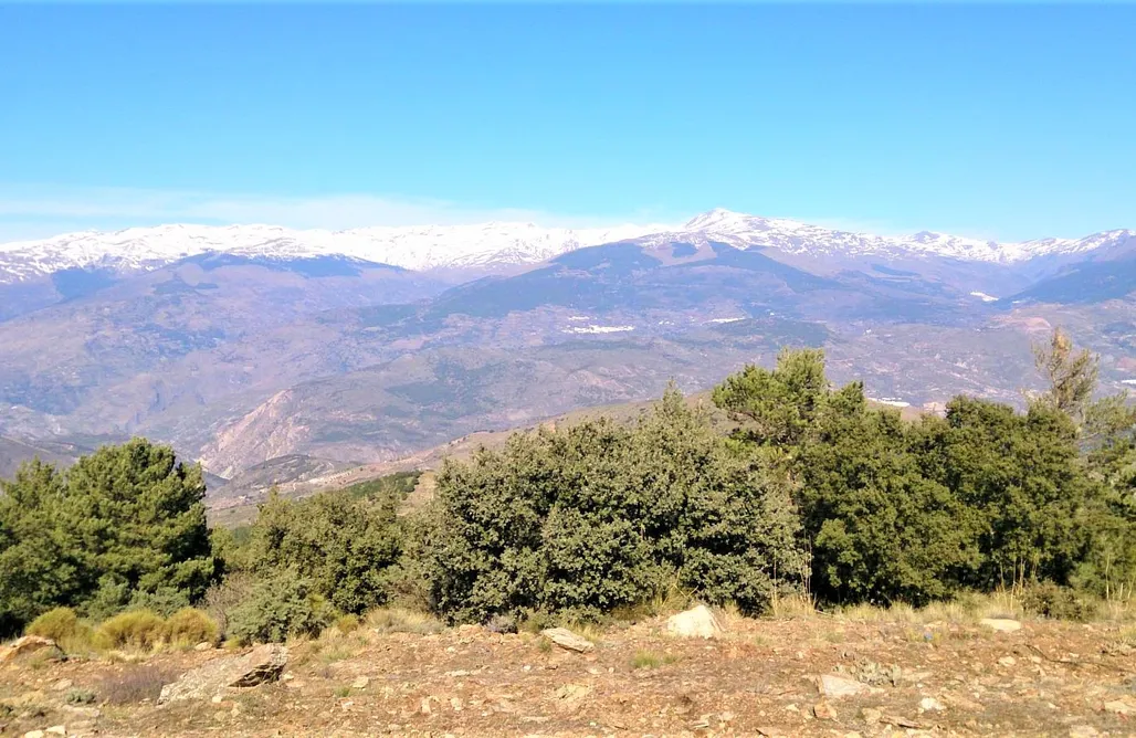 AlohaCamp accommodation Edéndomos 1