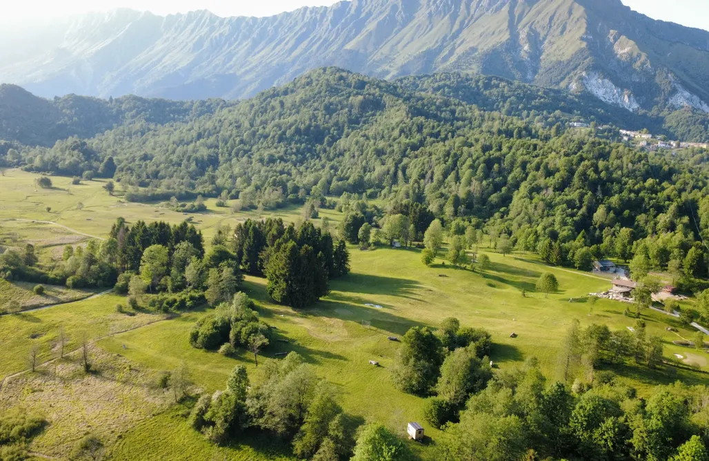 Glamping Venezia Bonis - Nidi nel Bosco 3