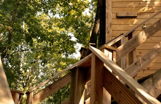 Zdjęcie obiektu Stodoła na drzewach