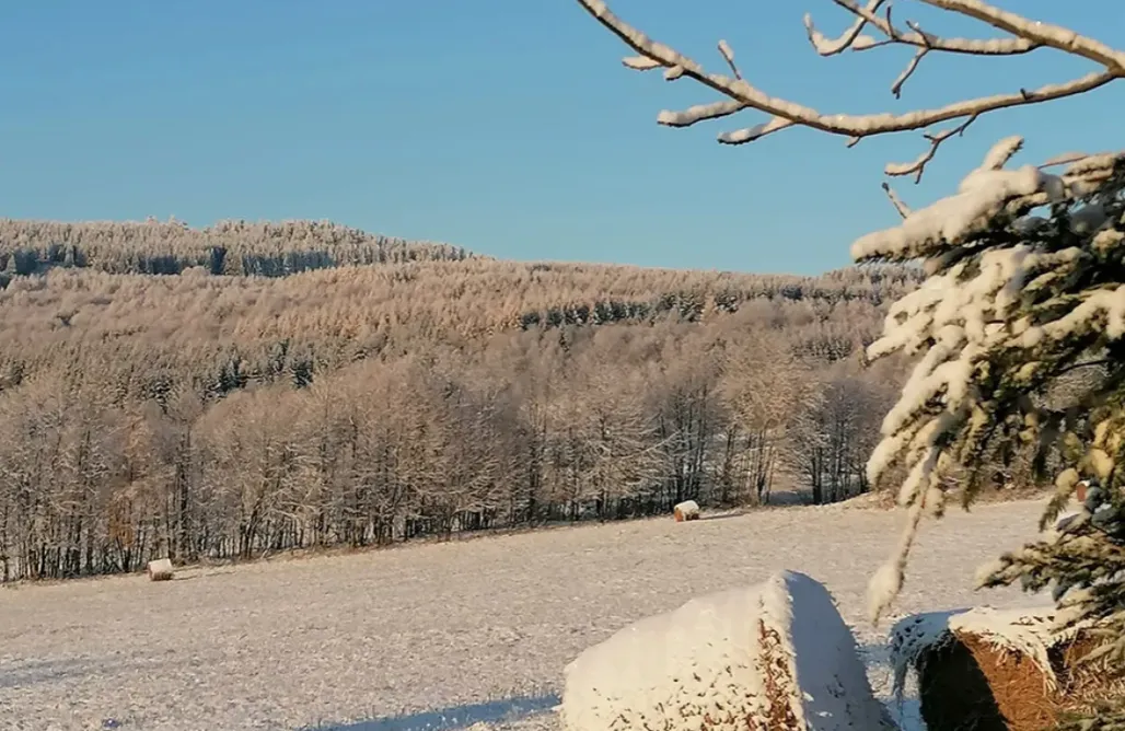 alojamientos AlohaCamp Apartamenty Gościniec Śliwkowy Sad 1
