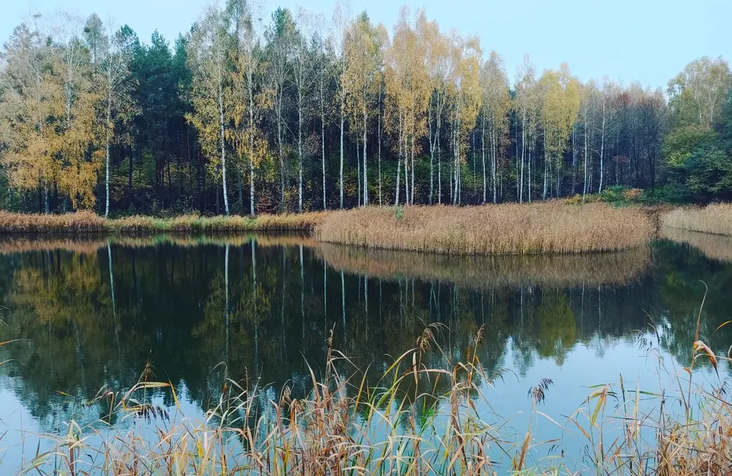 AlohaCamp Namiot Boho 1