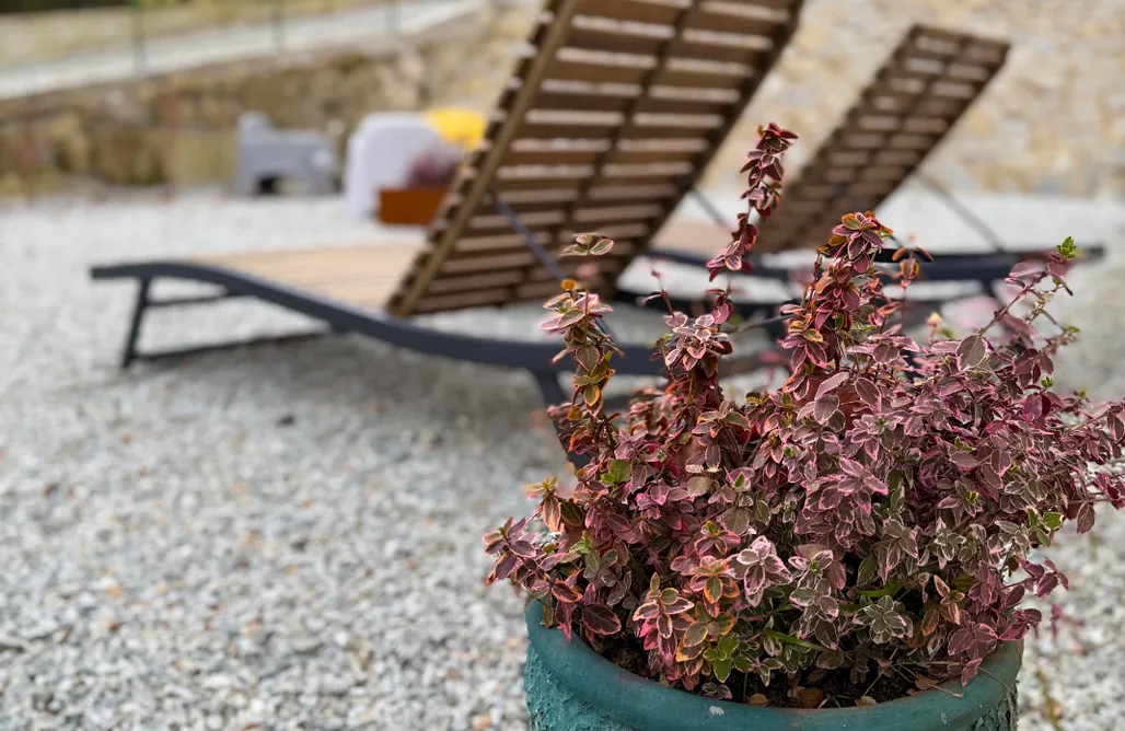 noclegi AlohaCamp Villa Pippi 1