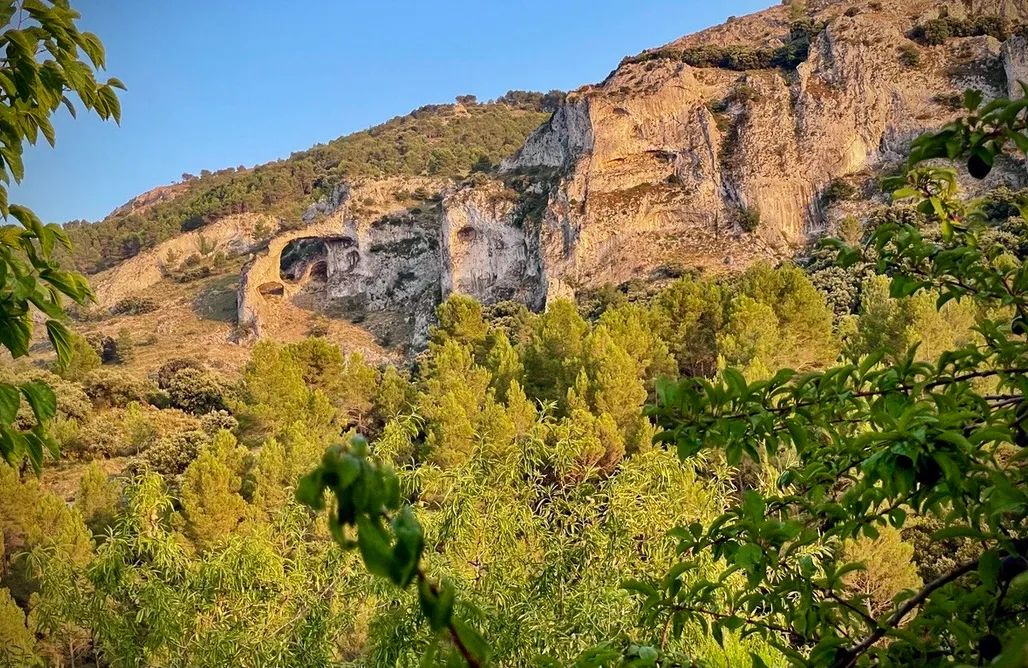 alojamientos AlohaCamp Finca SombraSol 1