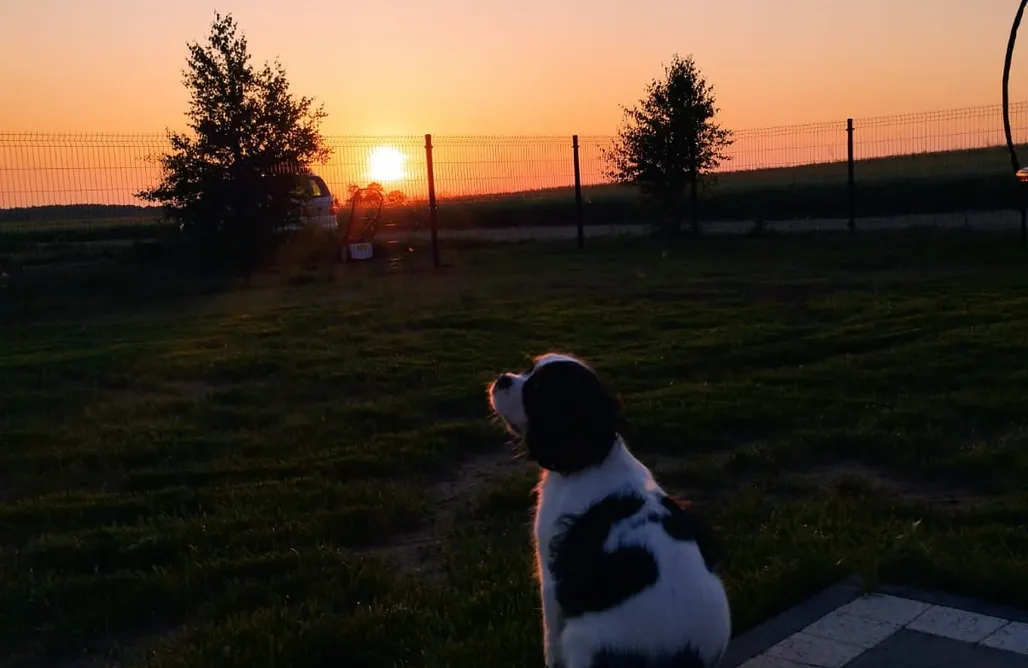 AlohaCamp Dom Choczewo Zielony Zakątek 1