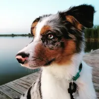 Małgorzata użytkownik