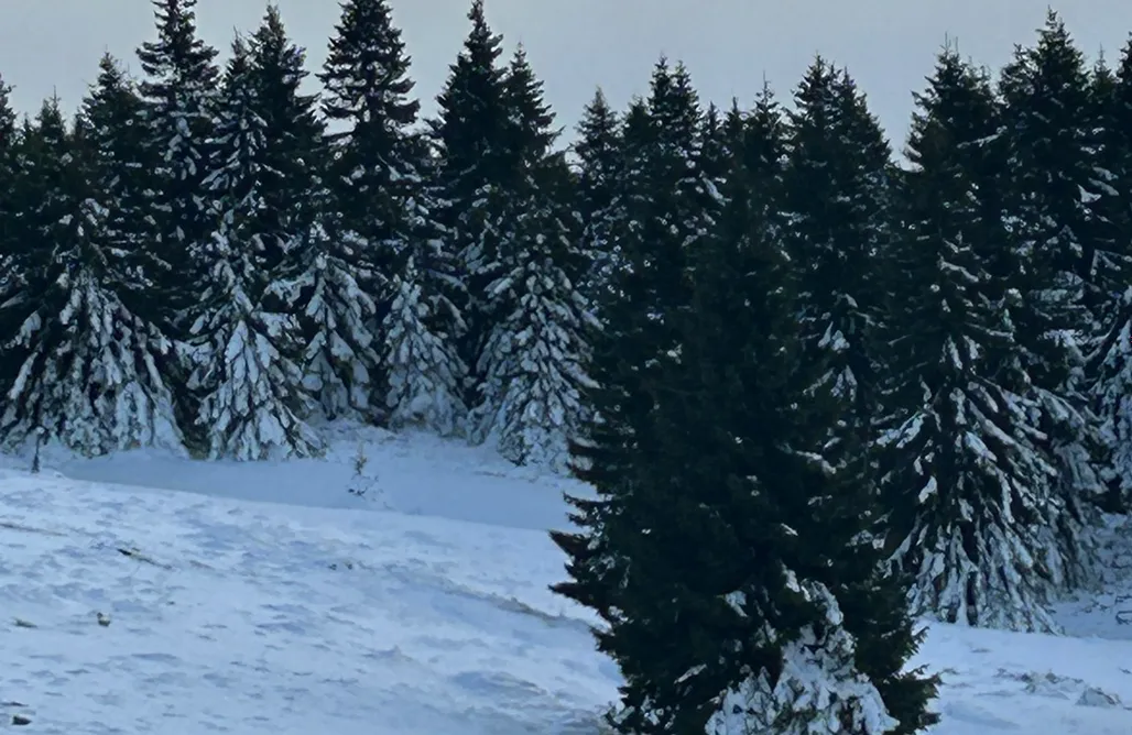 ubytovanie AlohaCamp Chata Waliszów 1
