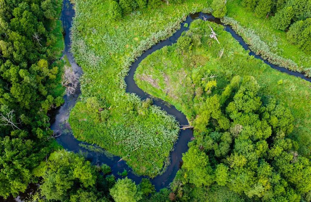 AlohaCamp accommodation Cisza Tu 5