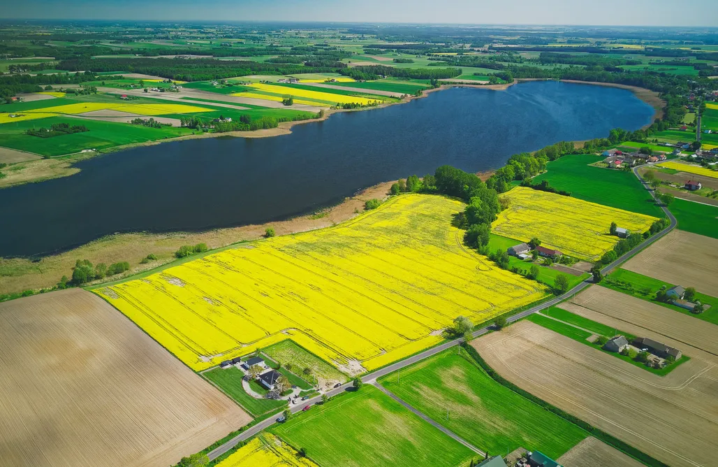 noclegi AlohaCamp Chudzewo - Dom Wypoczynkowy pod Orzechem  3