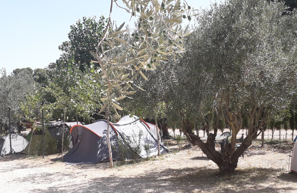 alojamientos AlohaCamp Sitio para tiendas - Pachamama Ecocamping 5