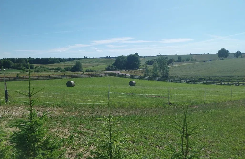 noclegi AlohaCamp Domek pod Zielonym Aniołem - otulony naturą 5