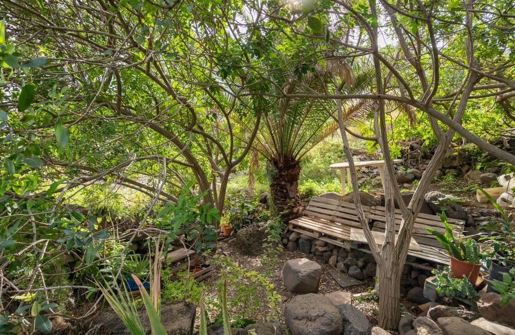 AlohaCamp accommodation Camper and Tent Site - Serene Light Gardens 2