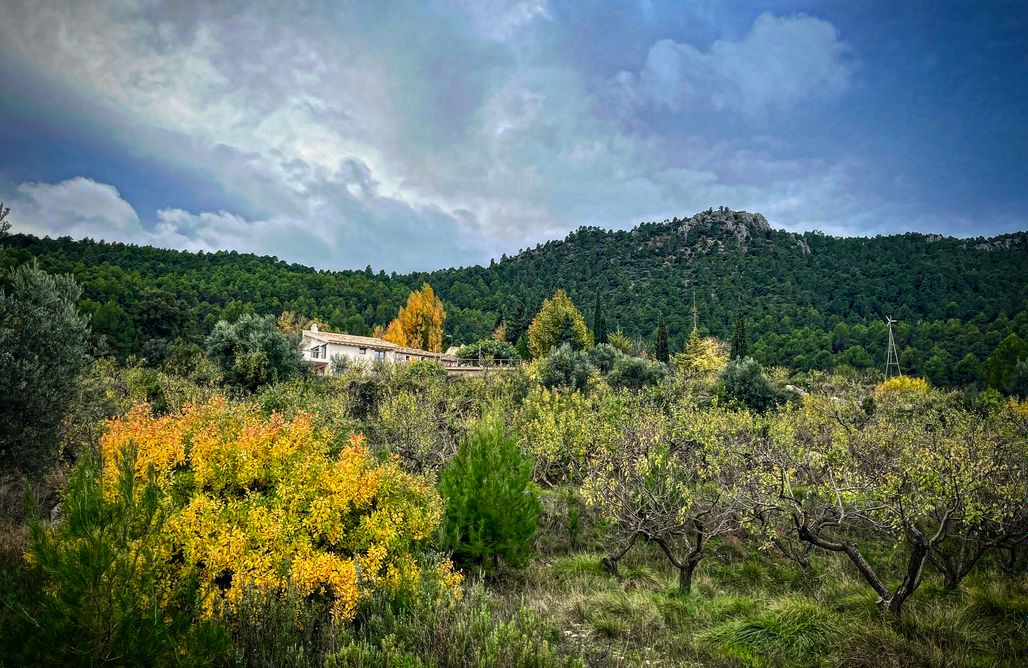 Alquiler Cabaña Montaña Casa de la Maria  2