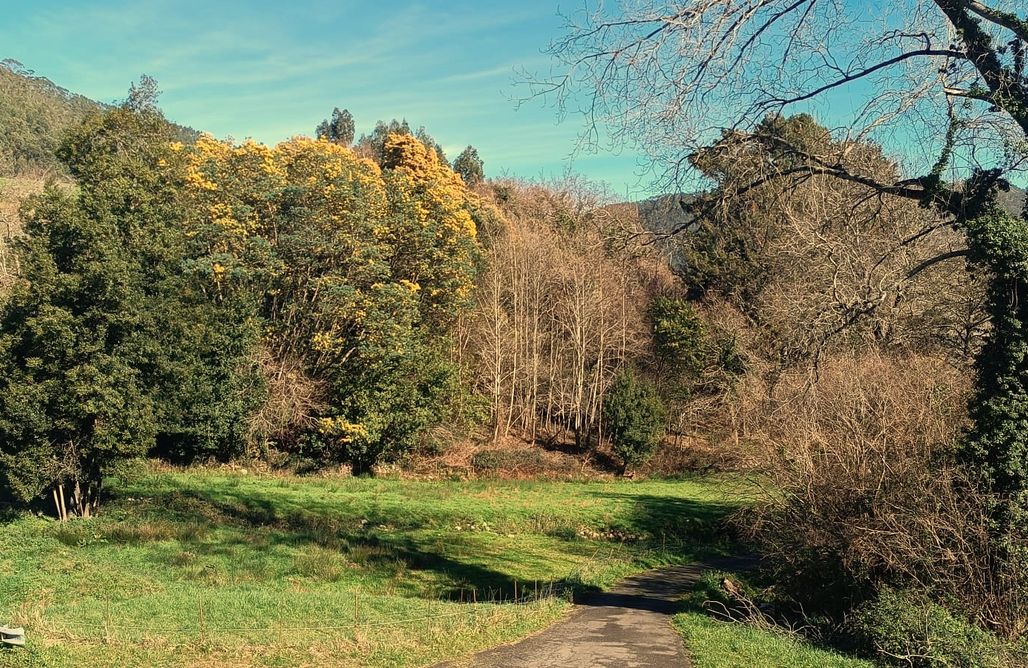 alojamientos AlohaCamp La Casuca del Sable 3