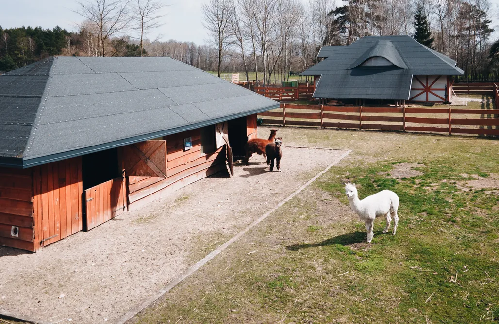 Agroturystyka Wielkopolska Tatra Glamp Ranczo Targówka - Miejsce kamperowe 3