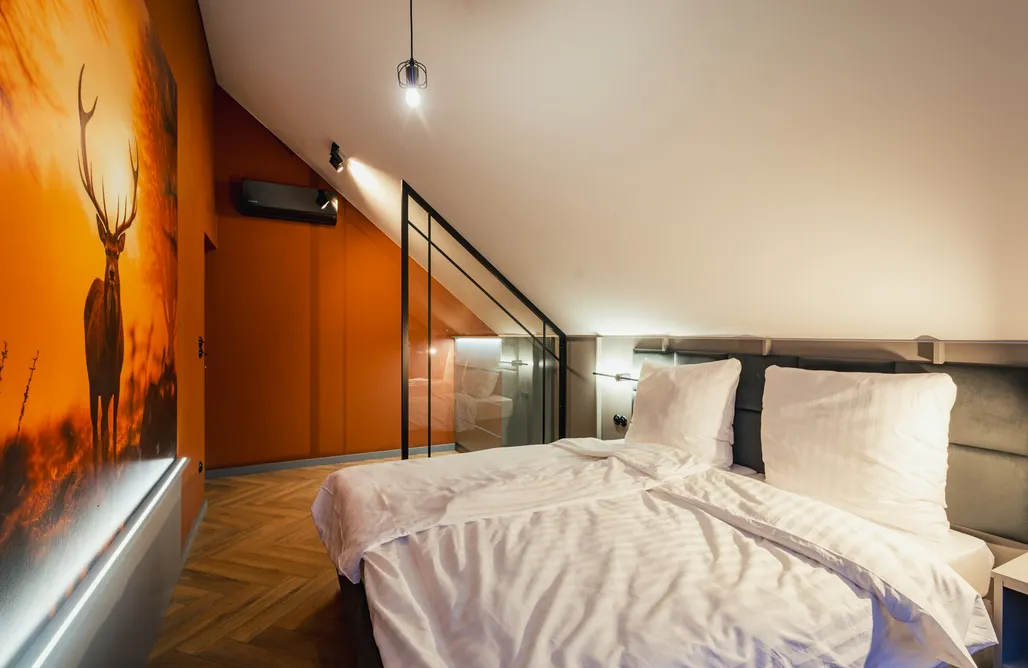 Meteor Shower 2026 💫 Ule Dziadka Kazka 1