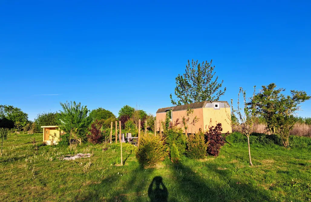 Tiny House Steinhuder Meer Tinyhouse Goldie 2