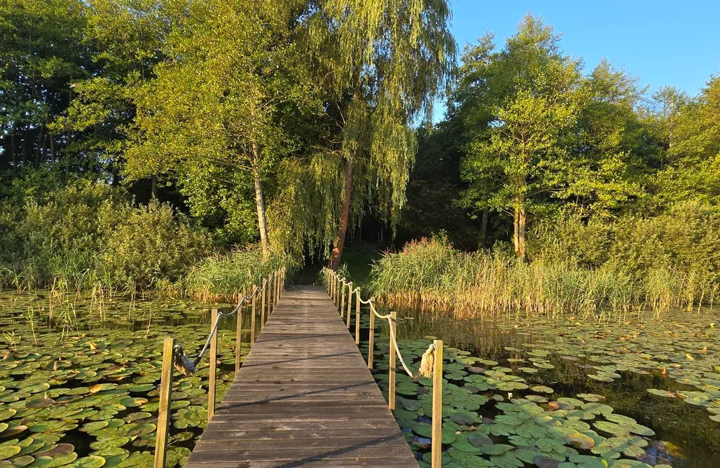 AlohaCamp accommodation Czerwona Stodoła nad jeziorem 1