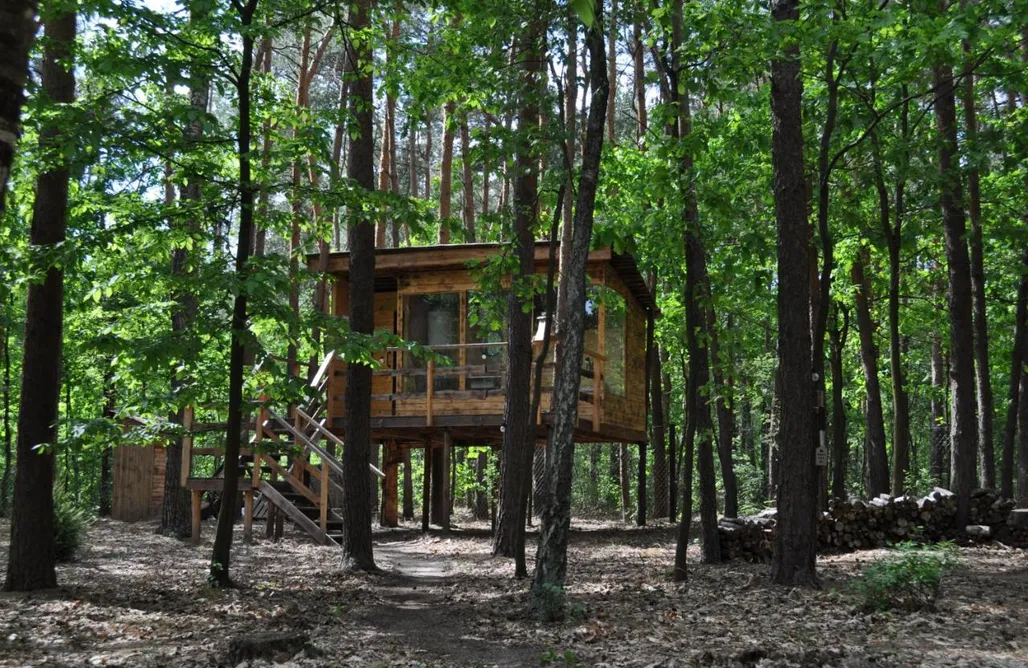 Refugio del Bosque - Casa en el Árbol AlohaCamp