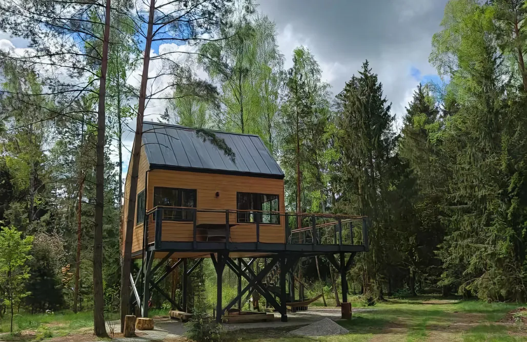 Domek na Drzewie Kaszuby Zdalnie z lasu 3