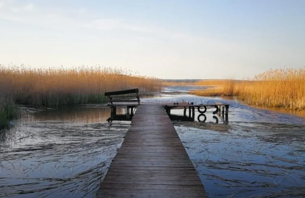 Pole Namiotowe Mikołajki Miejsce kamperowe i namiotowe - Polana Trzy Sosny 3