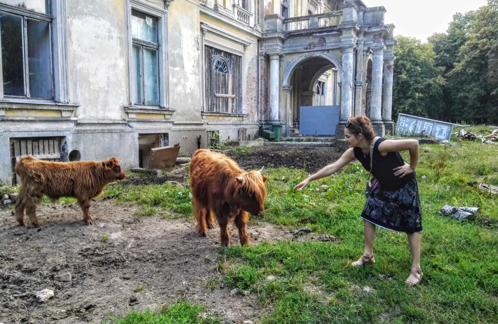 noclegi AlohaCamp Lawendowy Domek 1