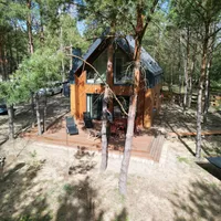 Radek gospodarz Kwiat Sosny