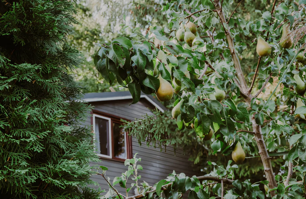 noclegi AlohaCamp Dom pod Gruszą  2