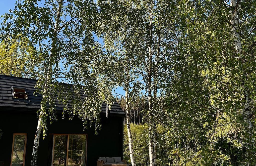 AlohaCamp Taras i las 1