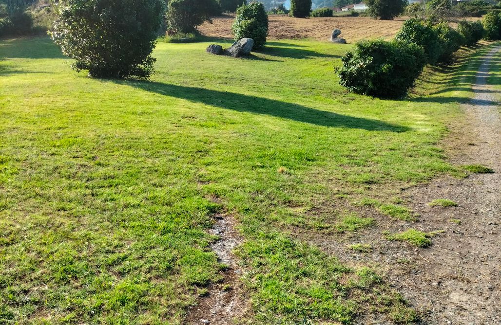 AlohaCamp APARCAMIENTO DE CARAVANAS  1