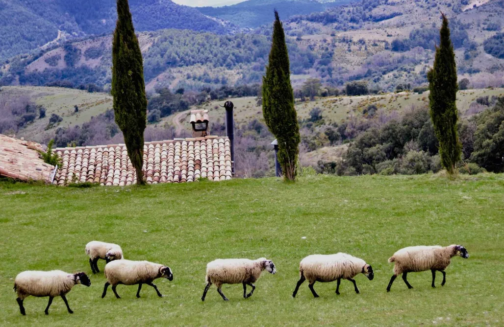 Bungalow Masia La Pallera  3