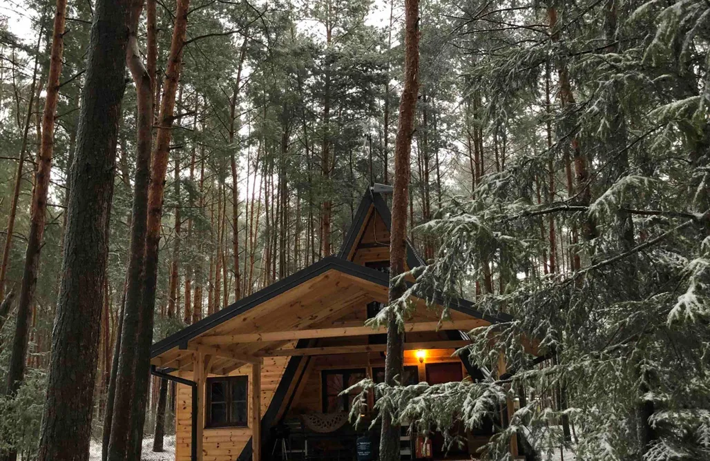 AlohaCamp Domek w ptasim gaju 1