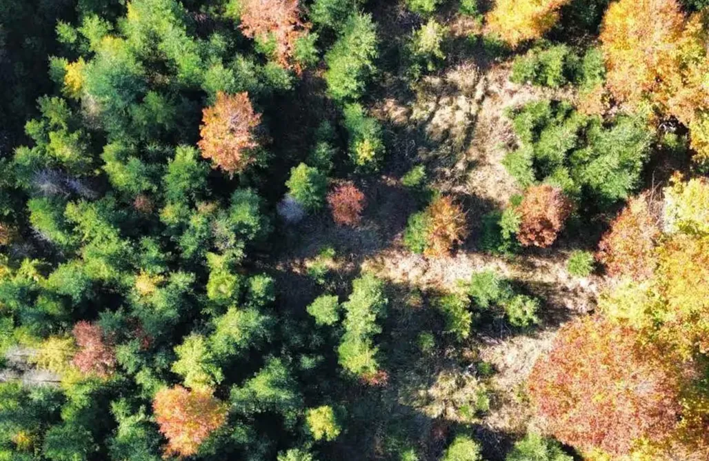 AlohaCamp Gierkówka 1