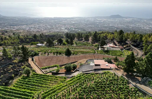 Imagen de Finca Ecológica Ferrera. Alojamiento Rural. 