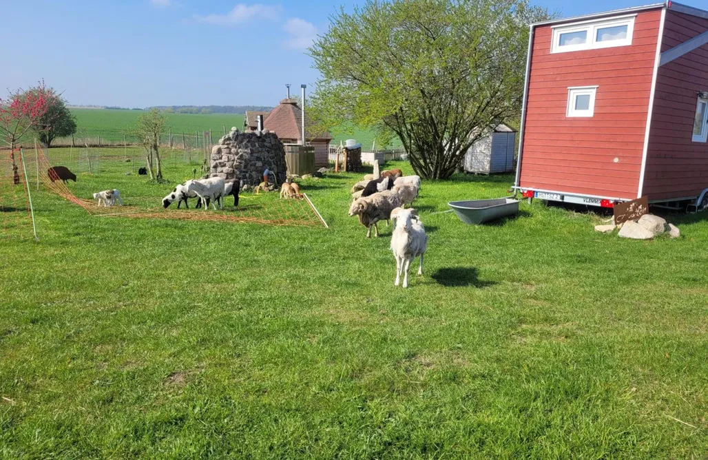 Unterkunft AlohaCamp Tiny House – „Dat kleene House“ 5