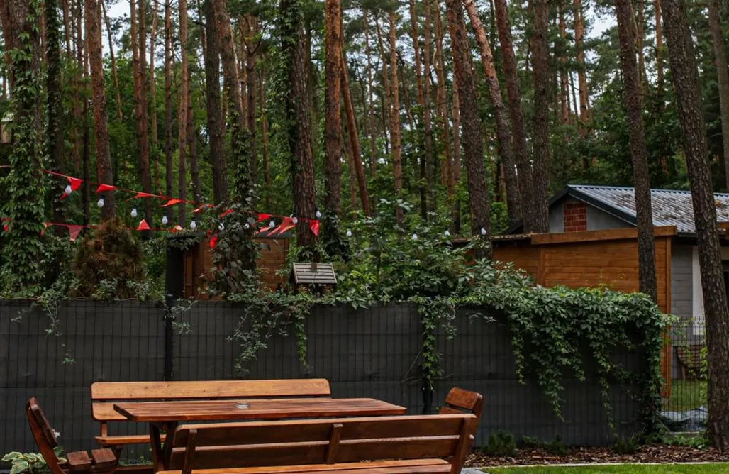 AlohaCamp accommodation Całoroczny domek w sosnowym lesie 1