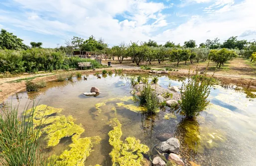 Imagen de Sitio para autocaravanas y tiendas de campaña: Ecocamp Vinyols 