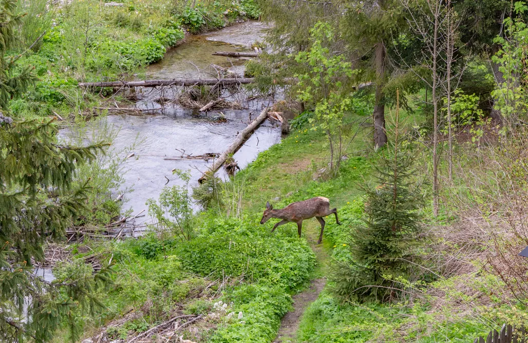 AlohaCamp Pokój nr 9 1
