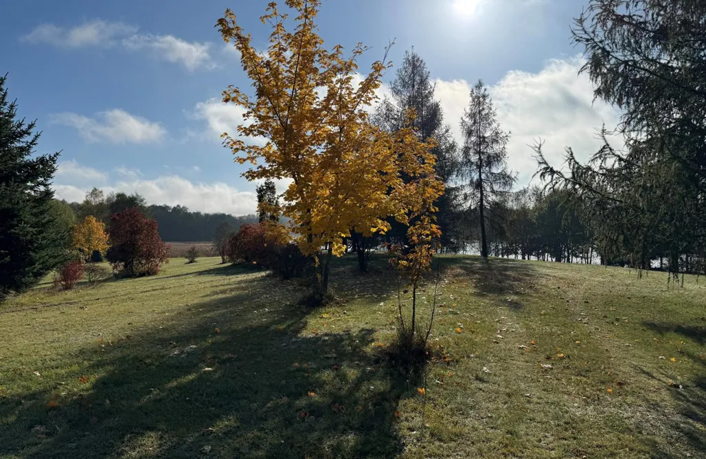 AlohaCamp accommodation Wakacje na Warmii 1