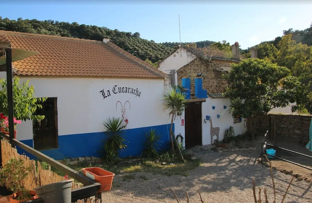 alojamientos AlohaCamp Alpaca Experience 2