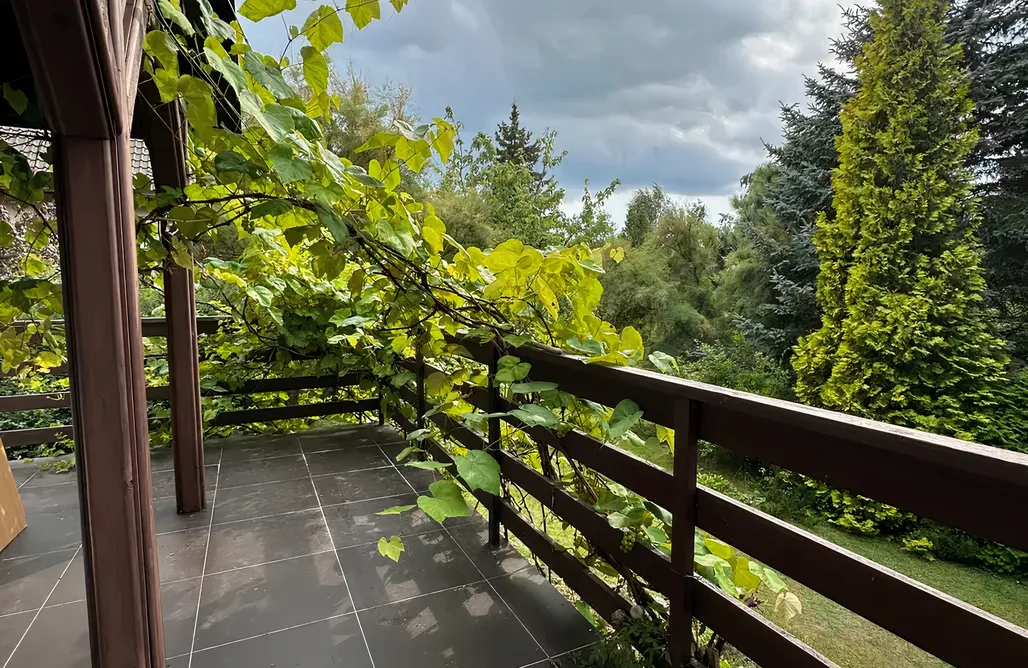 noclegi AlohaCamp Magiczny 4