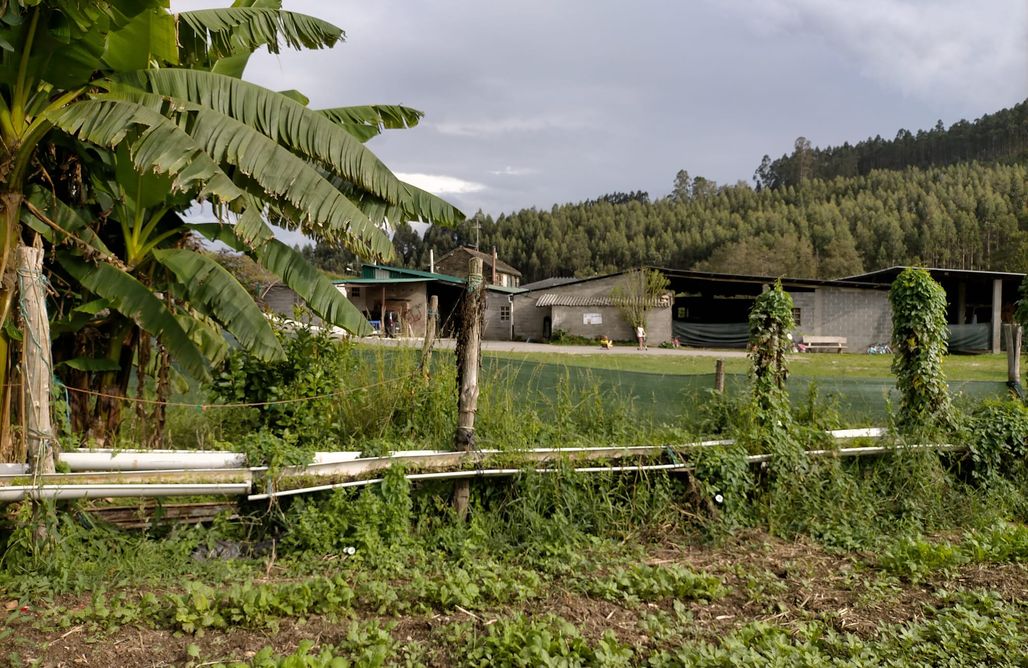 Campings Murcia CASECHA  3