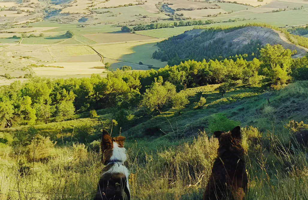 Castilla y León Destinos Alojamiento Rural "El Granjuelo" 3