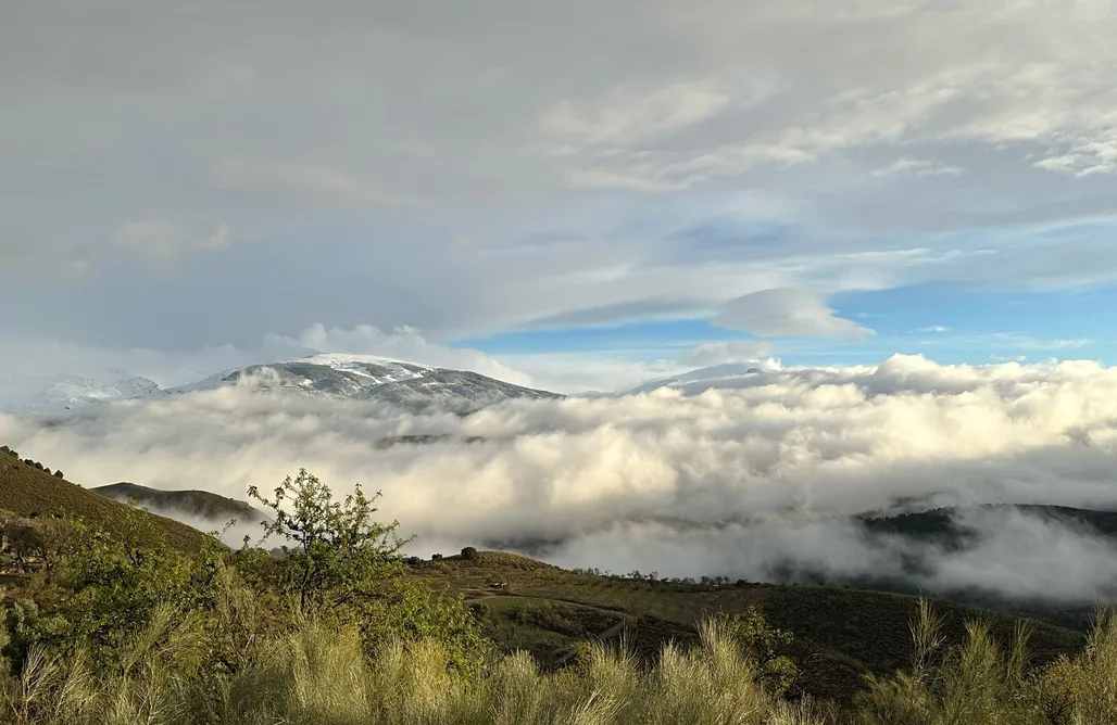 alojamientos AlohaCamp Cortijo LaVista 1