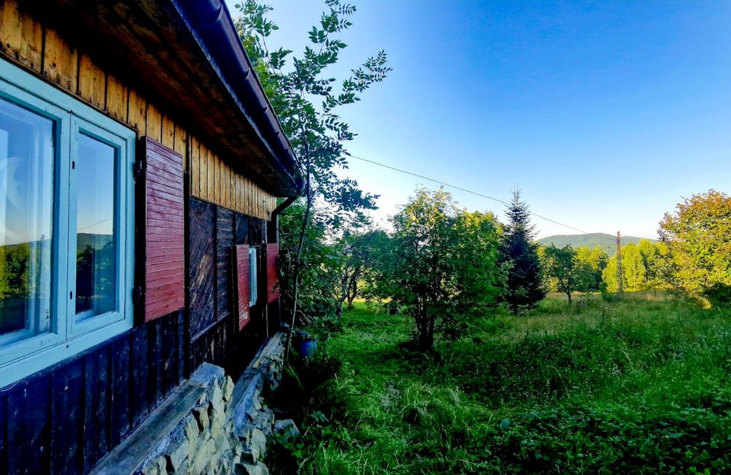 Unterkunft AlohaCamp Grapa: Magiczna Leśna Chata 4